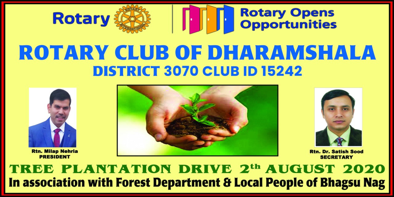 Plantation Drive 2nd August 20